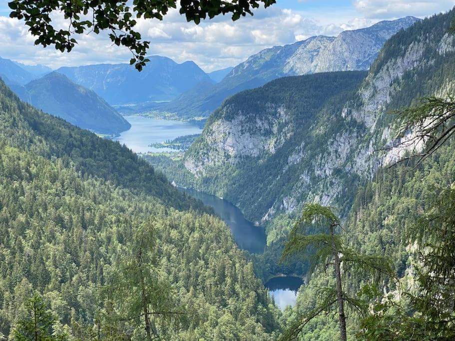 Alpenurlaub II Wohnung Mit Traumausblick Bad Mitterndorf Dış mekan fotoğraf