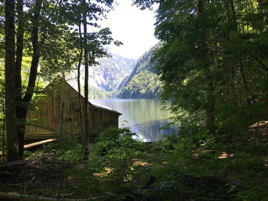 Alpenurlaub II Wohnung Mit Traumausblick Bad Mitterndorf Dış mekan fotoğraf