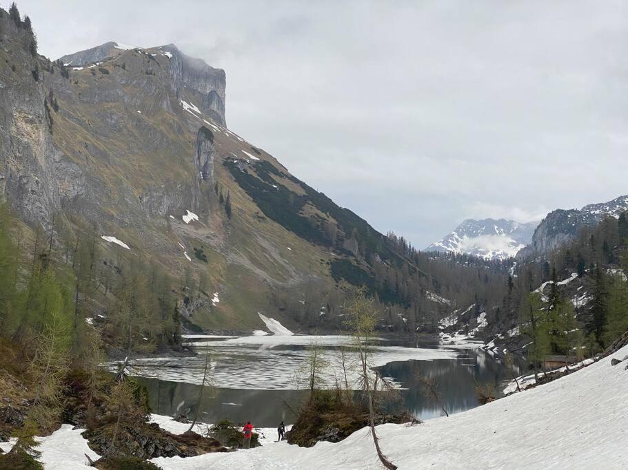 Alpenurlaub II Wohnung Mit Traumausblick Bad Mitterndorf Dış mekan fotoğraf