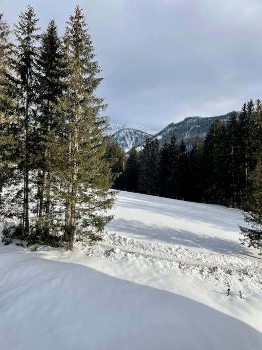 Alpenurlaub II Wohnung Mit Traumausblick Bad Mitterndorf Dış mekan fotoğraf