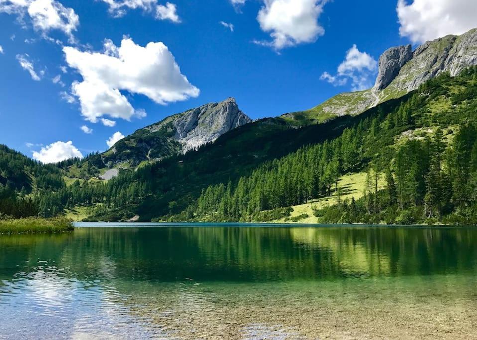 Alpenurlaub II Wohnung Mit Traumausblick Bad Mitterndorf Dış mekan fotoğraf