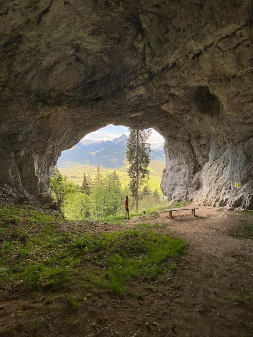 Alpenurlaub II Wohnung Mit Traumausblick Bad Mitterndorf Dış mekan fotoğraf