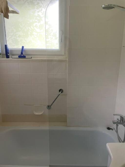Alpenurlaub II Wohnung Mit Traumausblick Bad Mitterndorf Dış mekan fotoğraf